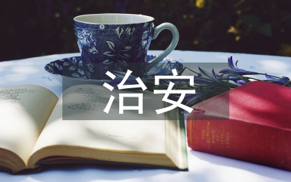 治安防控體系匯報材料