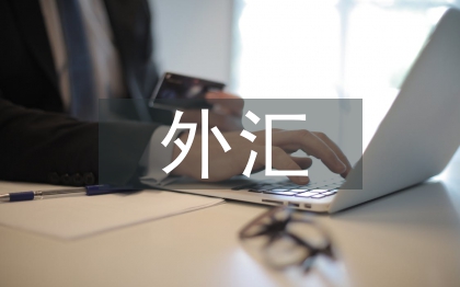 外匯市場風險的案例及分析