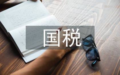 國稅半年工作總結