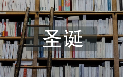 圣誕晚會領導致辭