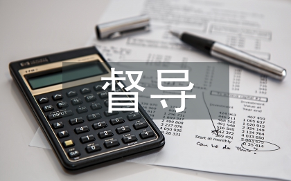 換屆督導工作計劃