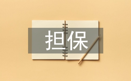 小微企業(yè)融資擔(dān)保存在的問題及對策