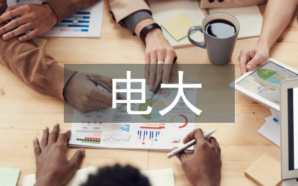 電大會(huì)計(jì)本科論文