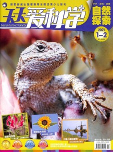 天天愛科學(xué)雜志社