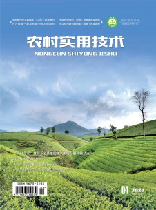 農(nóng)村實用技術