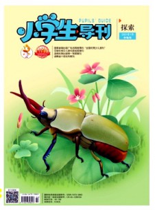小學生導刊·中年級雜志