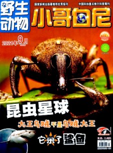 小哥白尼·野生動物畫報