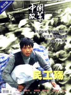 中國改革·農村版雜志