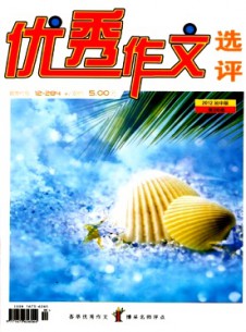 優(yōu)秀作文選評·初中版雜志