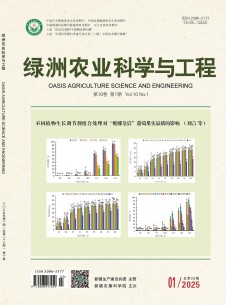 綠洲農業科學與工程